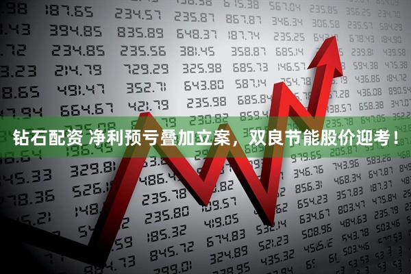 钻石配资 净利预亏叠加立案，双良节能股价迎考！