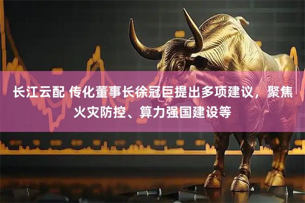 长江云配 传化董事长徐冠巨提出多项建议，聚焦火灾防控、算力强国建设等