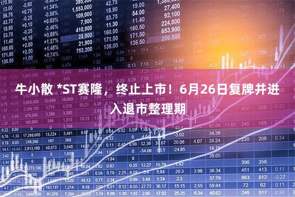 牛小散 *ST赛隆，终止上市！6月26日复牌并进入退市整理期