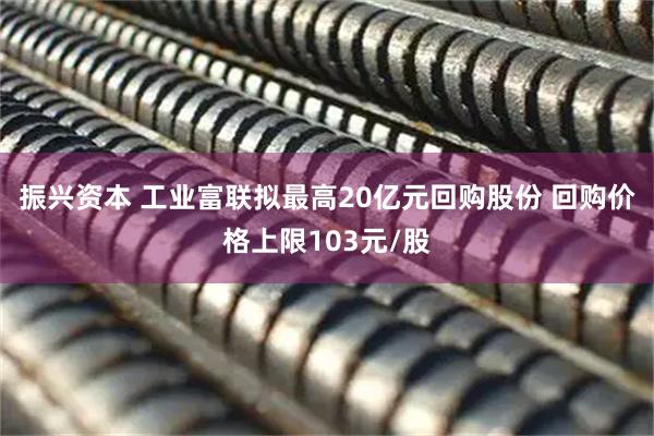 振兴资本 工业富联拟最高20亿元回购股份 回购价格上限103元/股