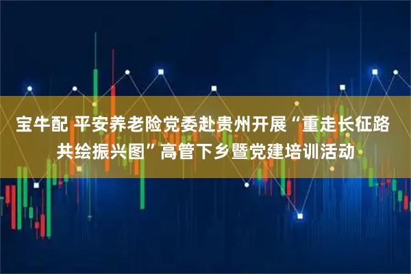 宝牛配 平安养老险党委赴贵州开展“重走长征路 共绘振兴图”高管下乡暨党建培训活动