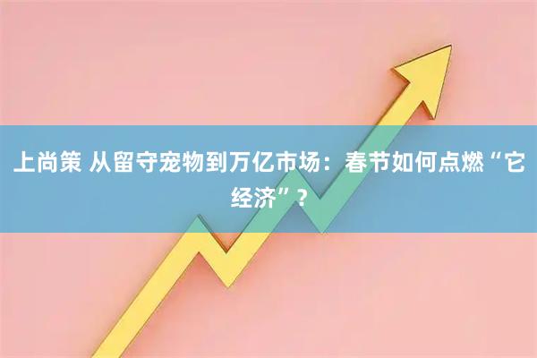 上尚策 从留守宠物到万亿市场：春节如何点燃“它经济”？