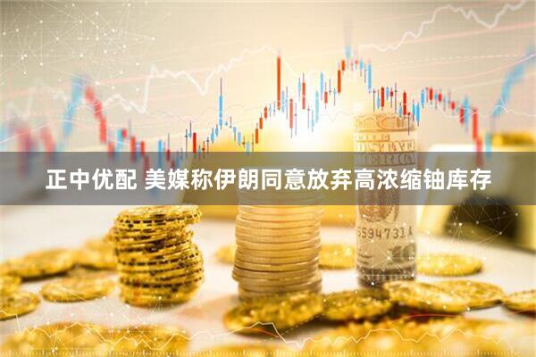 正中优配 美媒称伊朗同意放弃高浓缩铀库存