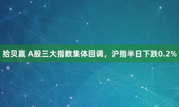 拾贝赢 A股三大指数集体回调，沪指半日下跌0.2%